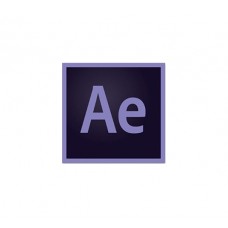 Adobe After Effects CC / year per license